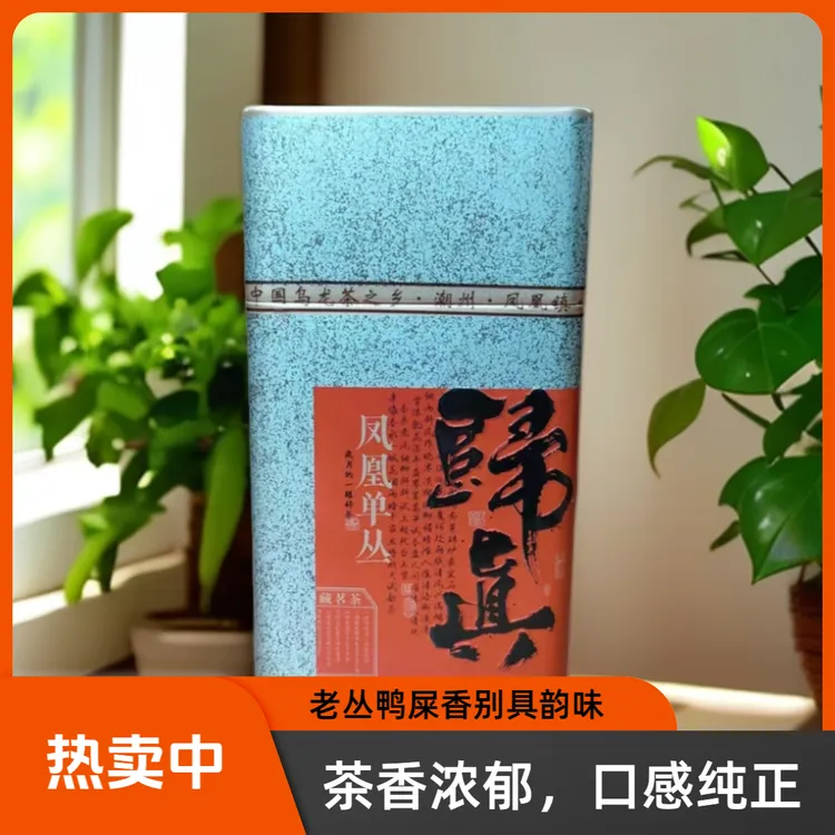 茶香浓郁好茶 鸭屎香老枞 潮州单丛茶叶乌龙茶罐装125g自饮送礼