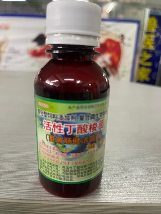 畜禽肠健活菌活性剂丁酸梭菌肠道保健益生菌中的佼佼者