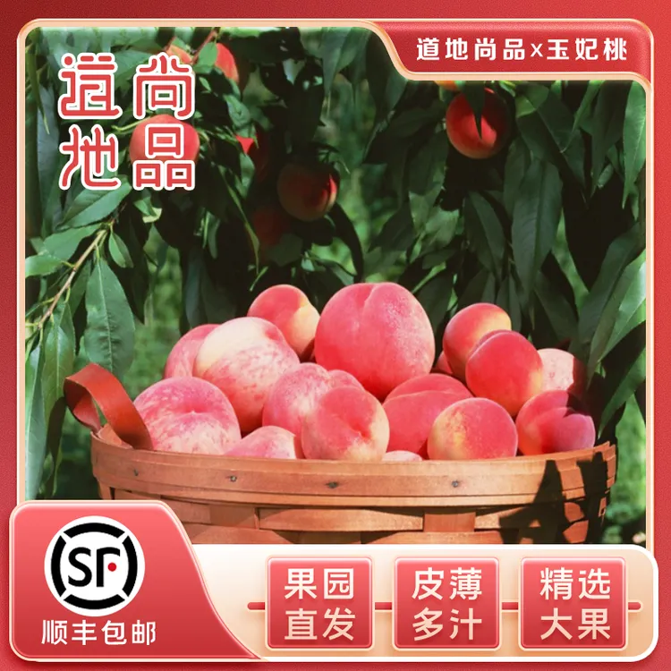 【大果】【正宗肥城玉妃】新鲜当季现摘水果脆甜美味爽口果园直发