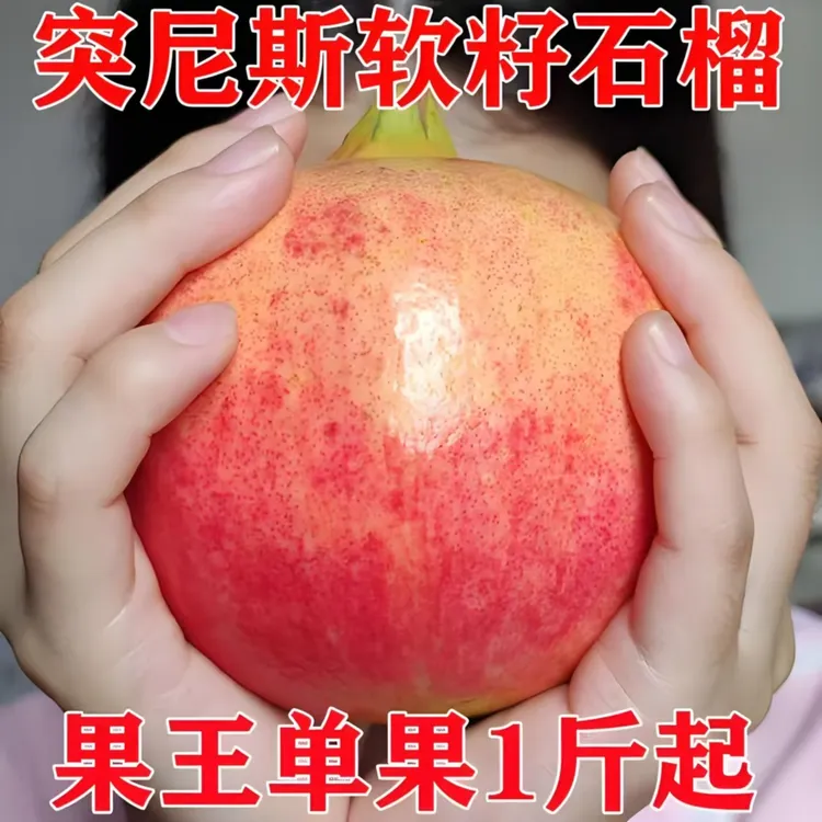 精品河阴软子石榴