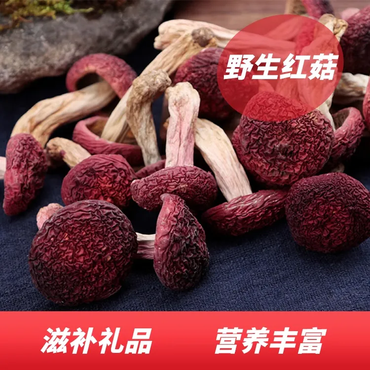 山野间红菇干货  煲汤营养食材可送礼
