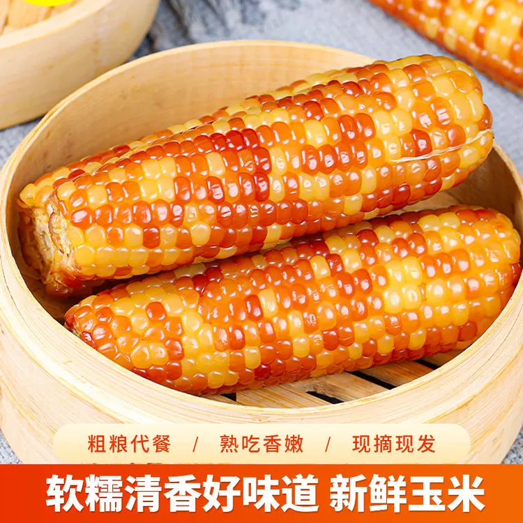 现货西双版纳香糯小玉米整箱小花糯包谷即食学生早餐代餐低脂粗粮