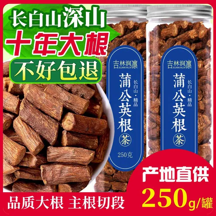 【长白山蒲公英根茶】纯特产250/500g天然正品正宗非特级炒熟的东北