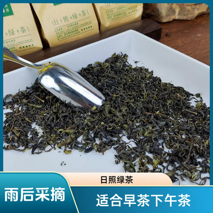 日照绿茶20024年新茶高香气浓香型豆香茶叶仲秋福利春茶口粮茶