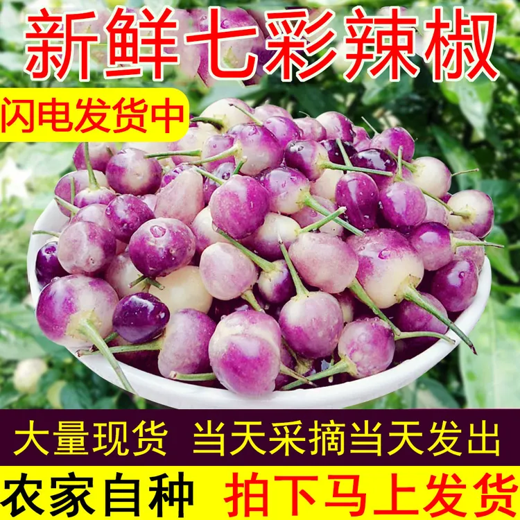 广西特产七彩辣椒新鲜五彩椒现摘七色泡椒灯笼椒小辣椒剁椒1/3/5