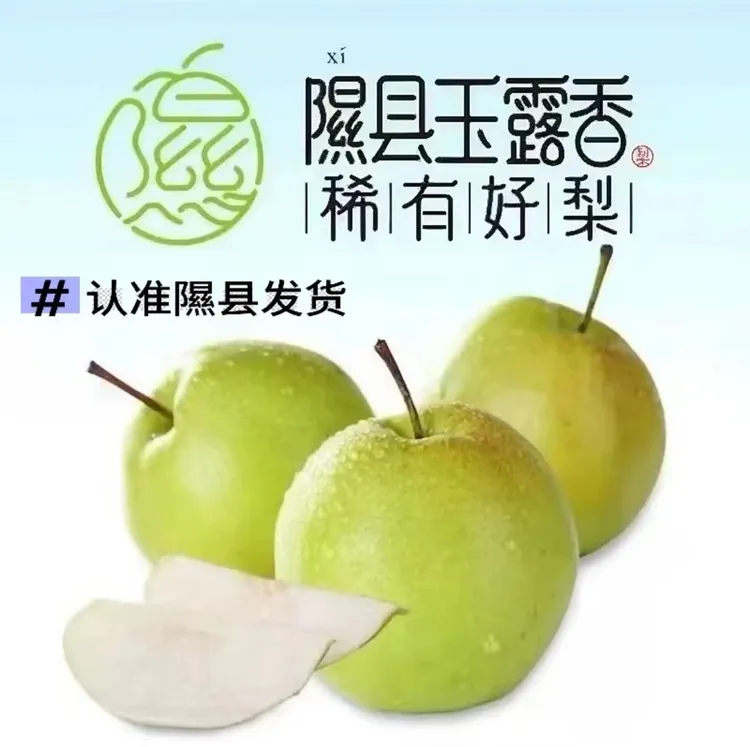 【产地直发】山西隰县玉露香梨新鲜采摘水果