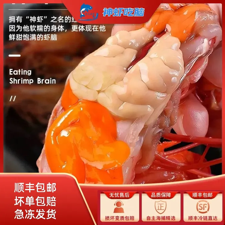 【顺丰包邮】网红同款超大特大号精品红魔虾刺身生腌即食