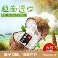 旭培厚椰汁植物蛋白饮料进口鲜榨椰汁椰奶网红生椰拿铁果汁300ml 