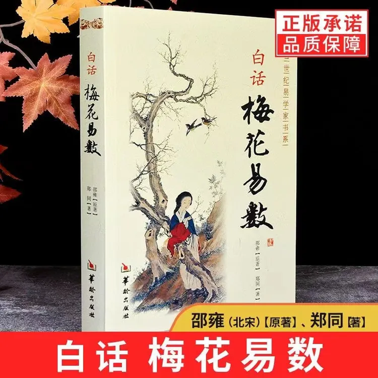 正版包邮梅花易数讲义白话书籍入门的书图解邵雍著