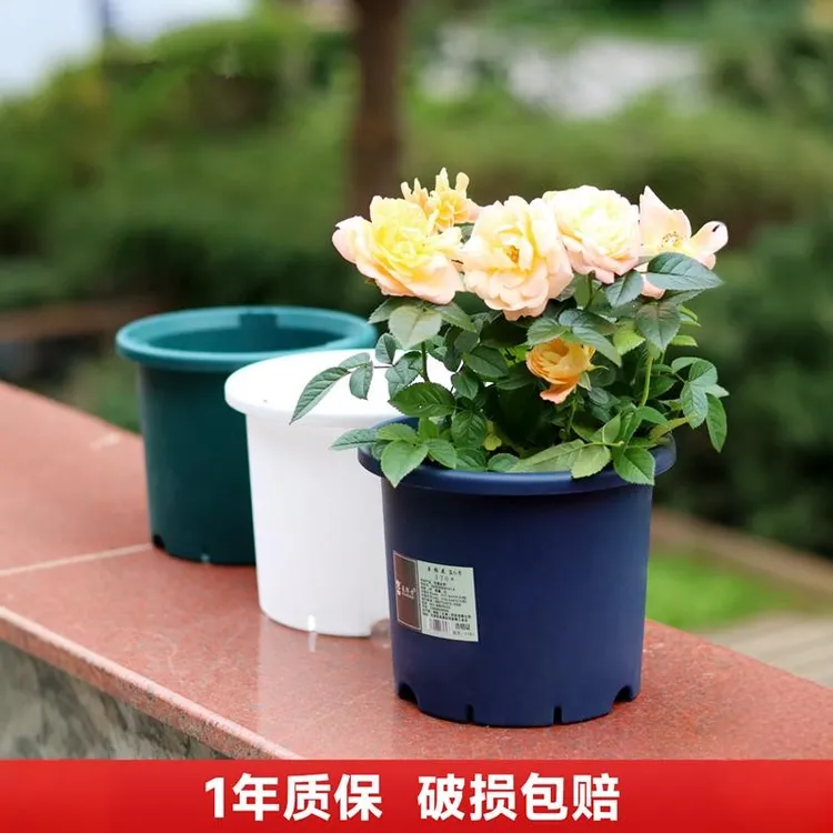 Deepot花盆兰花月季铁线蝴蝶兰盆塑料加厚控水透气北欧花盆带托盘