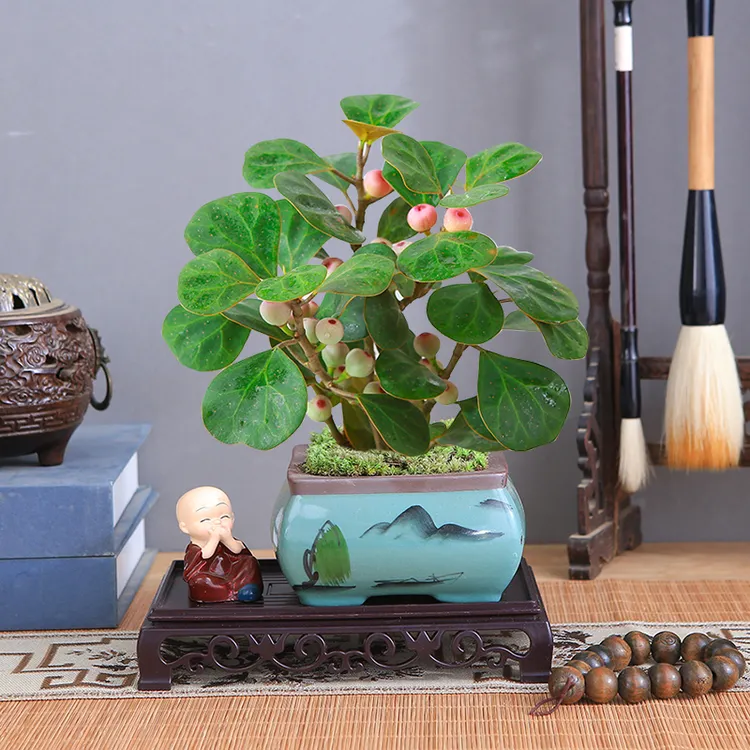 复古长方形花盆托盘底座盆景绿植摆件客厅家用接水底托花盘底托盘