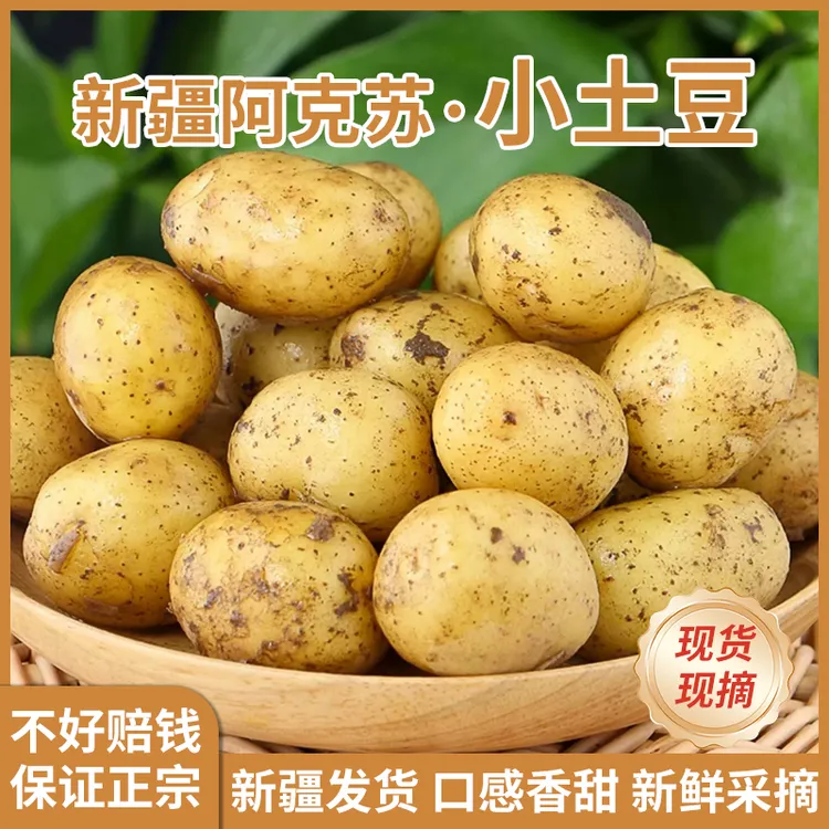 新疆阿克苏粉糯香甜小批发云南土豆蔬菜黄心土豆