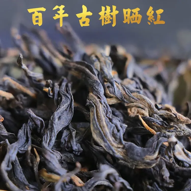 红茶 古树红茶 2023年春茶 正宗云南红茶 散茶茶叶