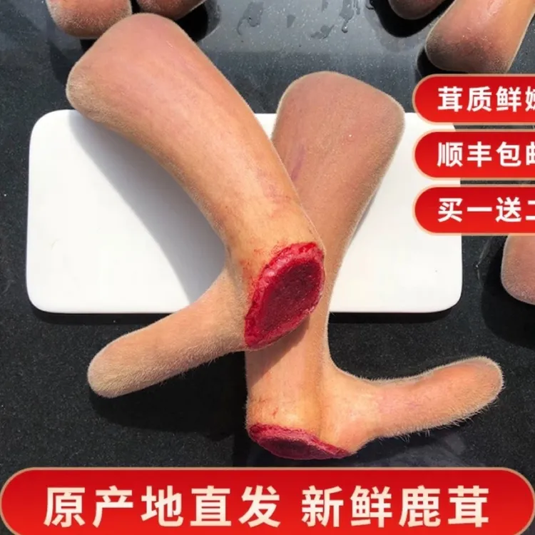 东北鹿乡 新鲜鹿茸 梅花鹿 滋补 泡酒 煲汤  产地直发