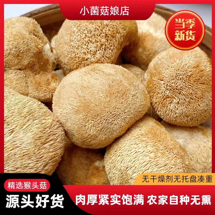 正宗猴头菇干货高山农家猴头菇无熏煲汤食材干猴菇猴头菇菌200g起