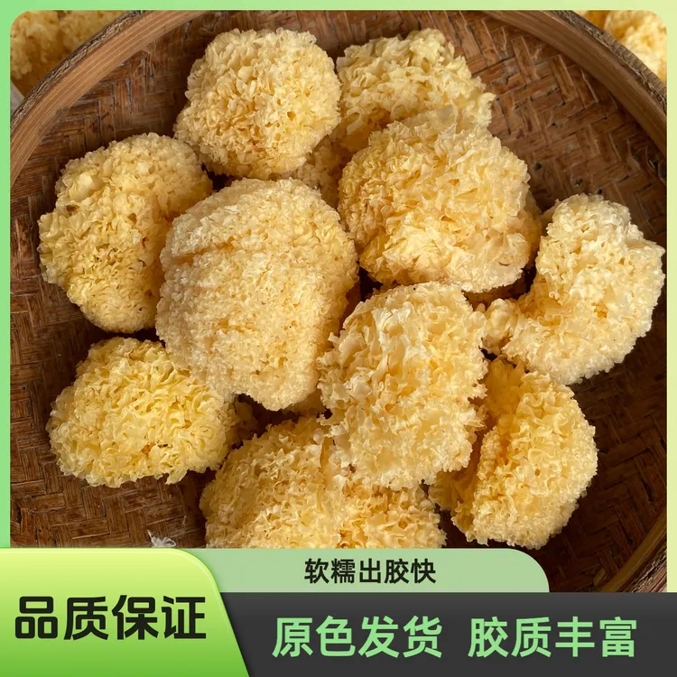 【夏季银耳羹食材】古田椴木小银耳新货易出胶软糯古田银耳干货250g