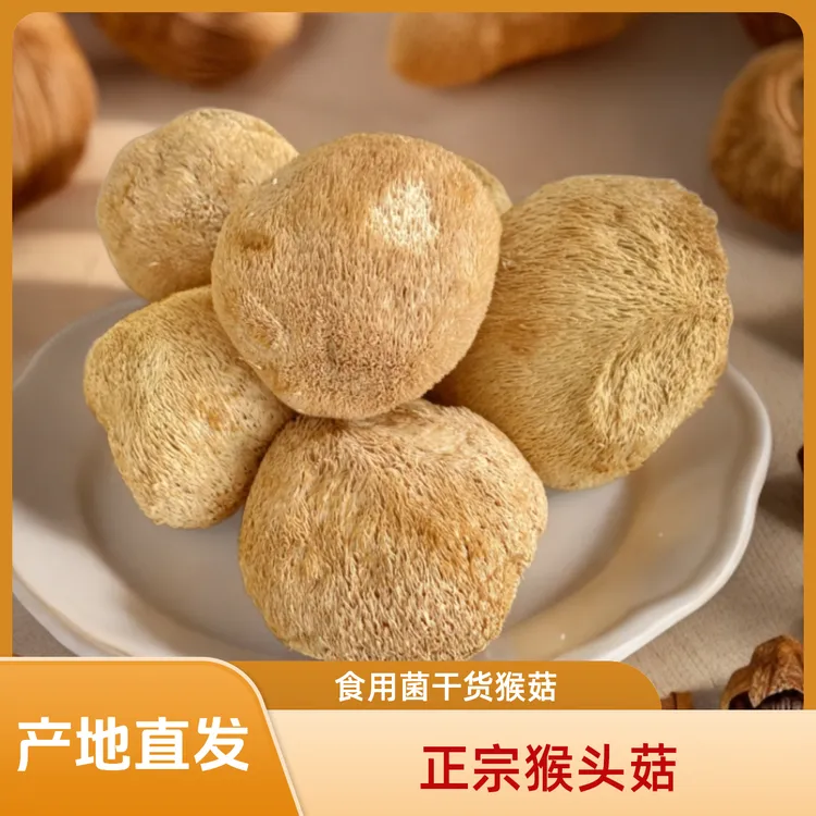 【当季新货】正宗猴头菇500g农家自产新货干猴头菇食用菌猴头菇干货