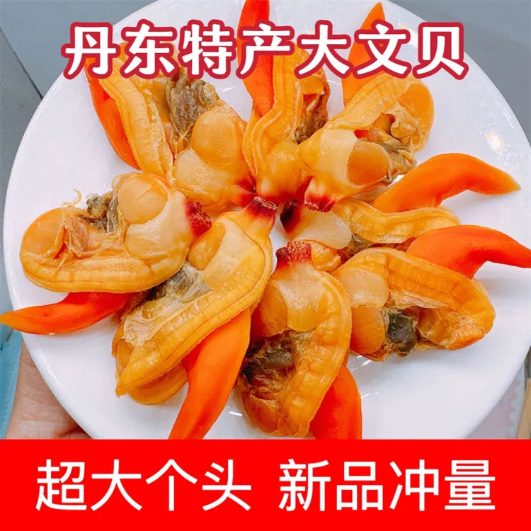 丹东特产大文贝干大号黄蚬子干开袋即食无沙去内脏新鲜海鲜零食