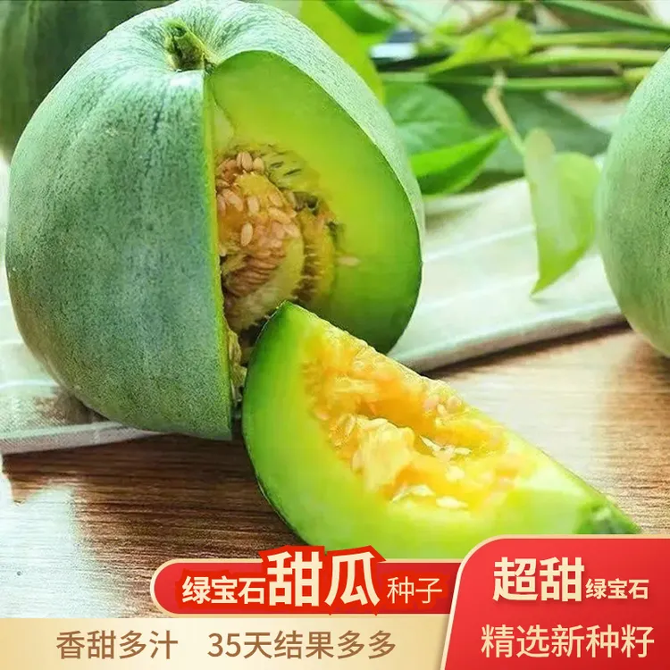 高产甜瓜种子薄皮绿宝石白沙蜜甜香瓜水果种籽南北方春季早熟脆甜