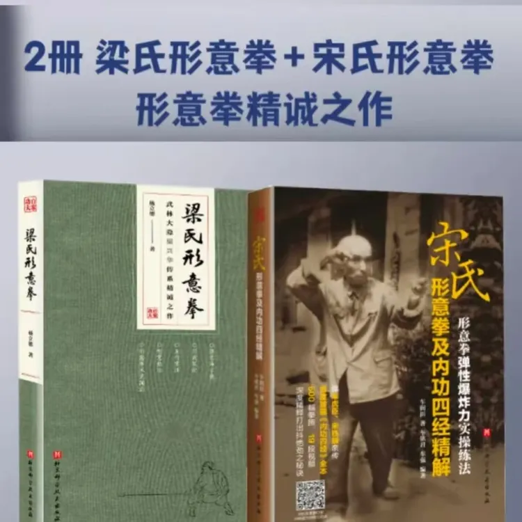 百家功夫：梁氏形意拳+宋氏形意拳及内功四经精解