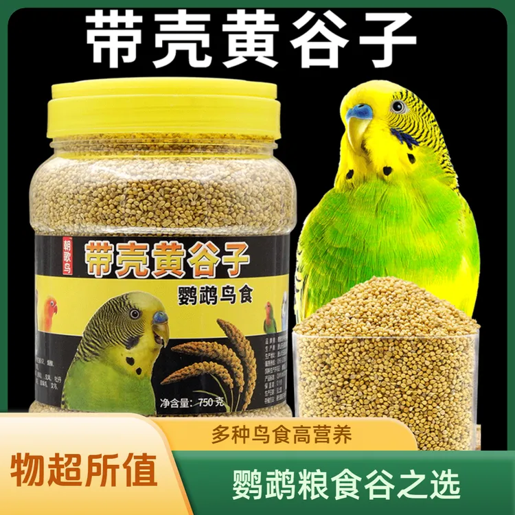 带壳黄谷子食谷子直销食粮玄凤牡丹饲料虎皮鹦鹉牡丹鹦鹉玄凤鹦鹉