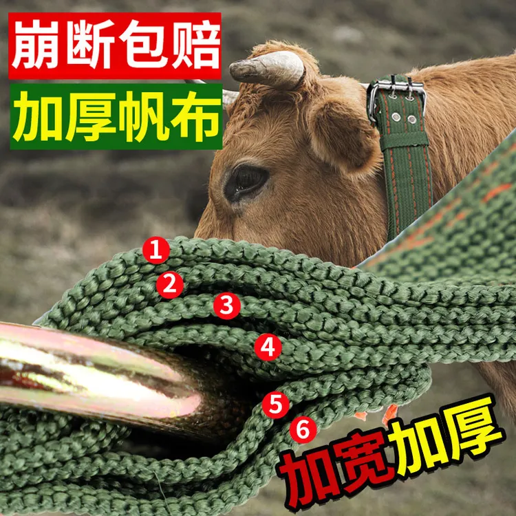加厚栓牛脖套保险扣神器羊用项圈牛脖子套拴牛专用绳子牛用品大全