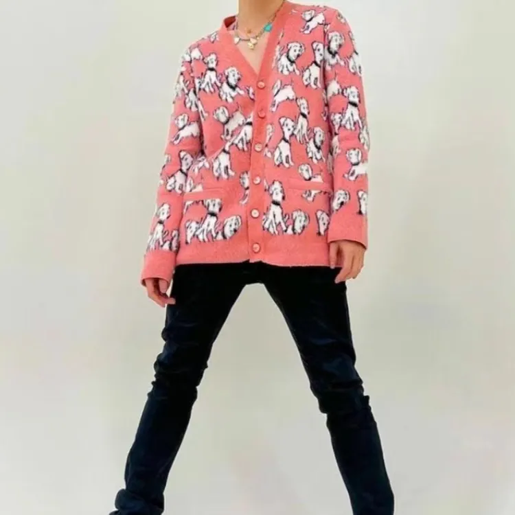 全新未使用 Celine/思琳 狗提花拉绒羊毛衫短袖针织衫