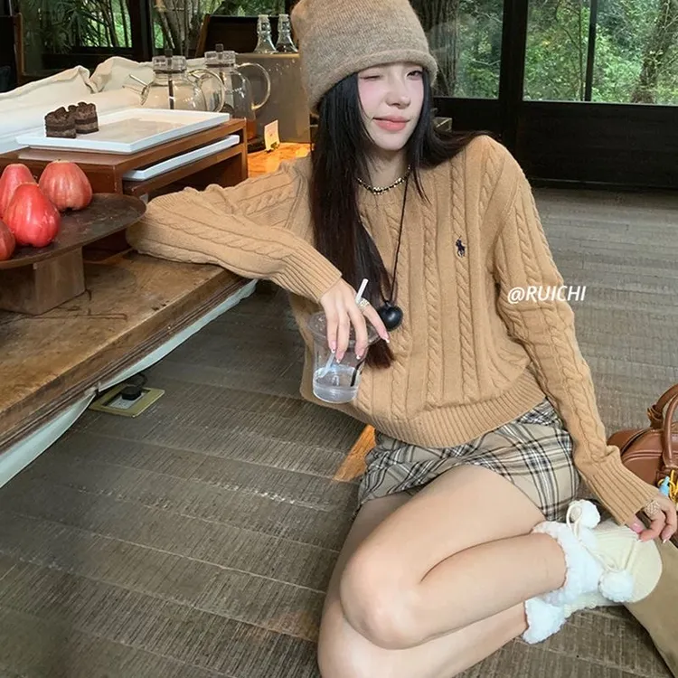 慵懒风美式刺绣毛衣女2024秋冬新款复古小马图案百搭打底针织衫潮