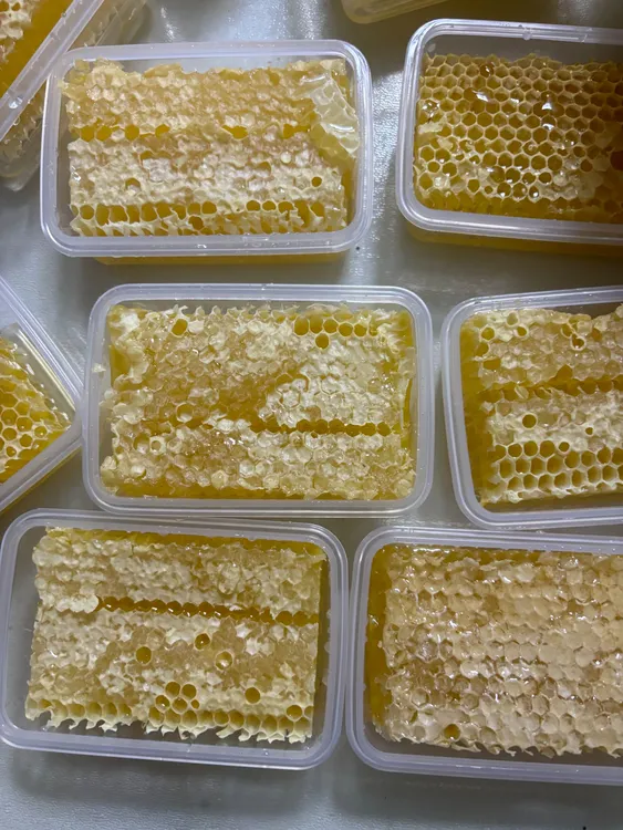 自家采的椴树蜂巢蜜 齁甜！介意勿拍不退