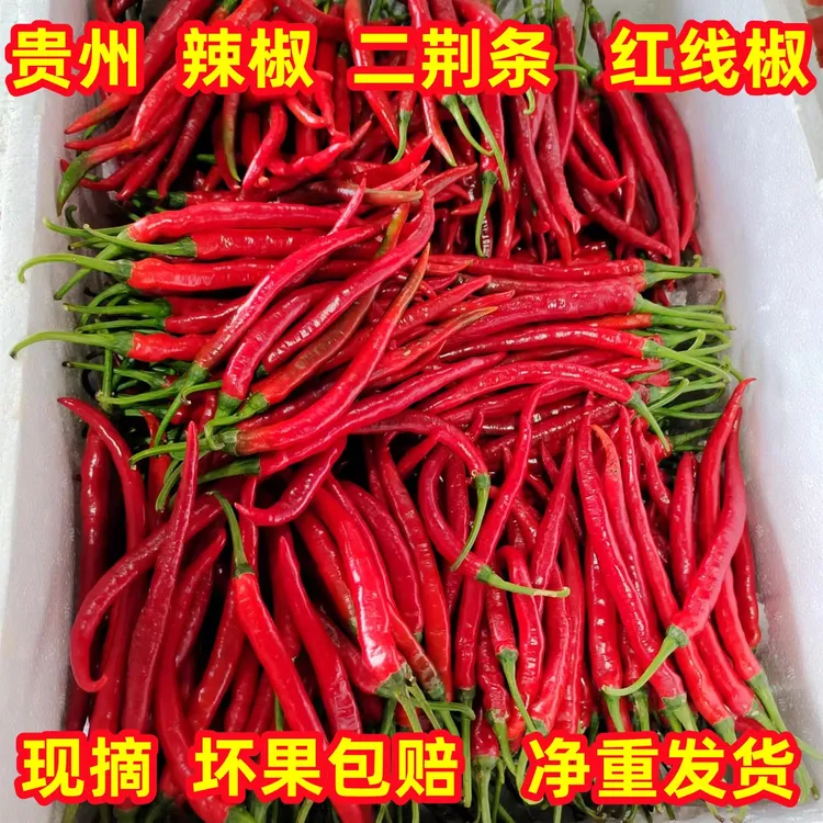 新鲜红辣椒贵州辣椒二荆条红线椒现摘现发红辣椒剁椒辣椒1斤/10斤