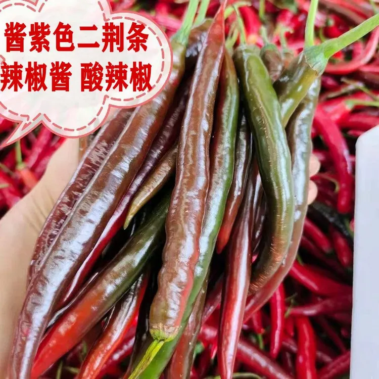 新鲜红辣椒贵州红线椒泡菜专用乌红色辣椒农家二荆条酱色3/10斤