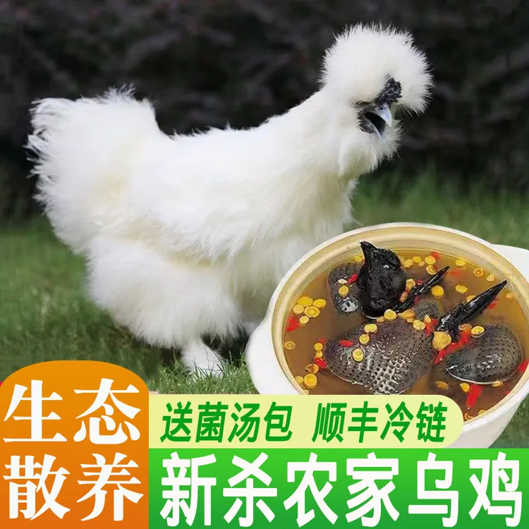 乌鸡生鲜农家散养乌骨鸡肉质味美新鲜冷冻鸡肉保鲜煲汤送菌汤包