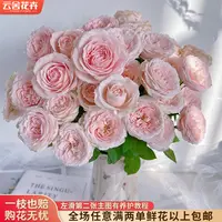 【云舍花卉】【珍妮贝儿】多头玫瑰 全场任意满两单及以上鲜花包邮