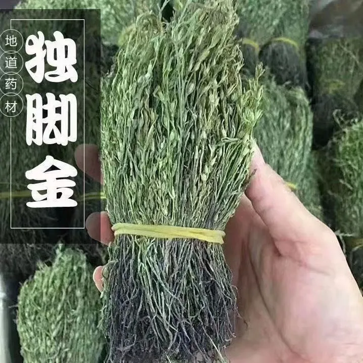 野生天然疳积草消积汤中草药小孩儿煲汤炖汤消积茶新鲜煲汤煮水
