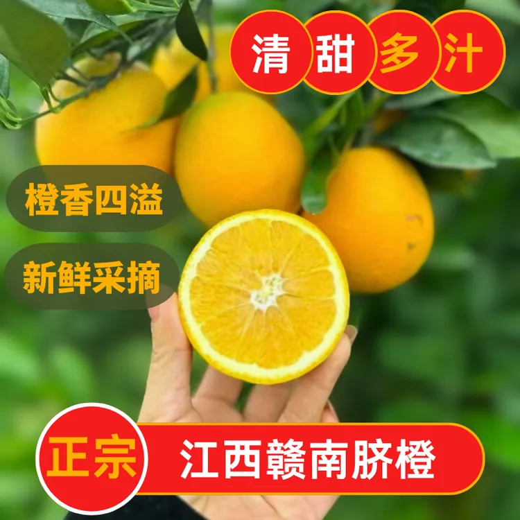 2024年新鲜橙子5/10/20斤装正宗江西赣南脐橙新鲜应季水果