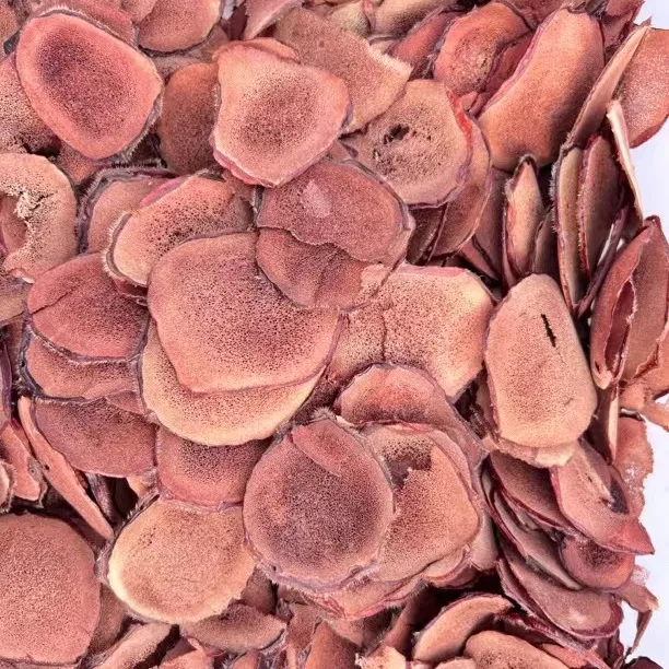  tamkin鹿先生 چىپار بۇغا مۈڭگىزى 自然干鹿茸片