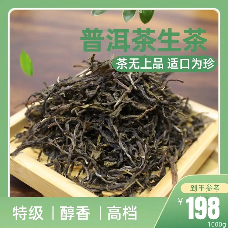 【普洱茶生茶】云南生茶普洱茶散茶袋装晒青1000g香气高口粮茶散茶