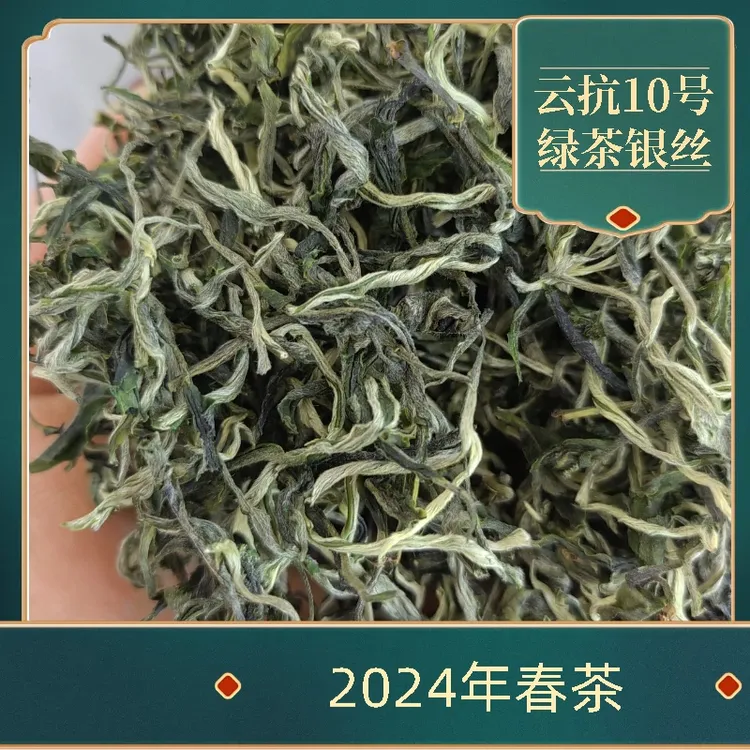 【云南高山绿茶】精品绿茶24年春高香银丝耐泡型散装佳品口粮绿茶