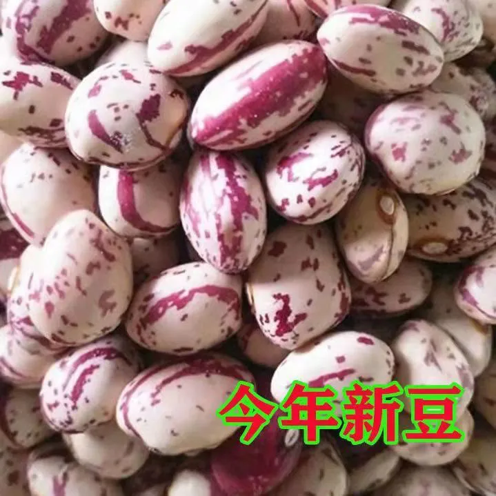 贵州六盘水农家新花生豆雀蛋云豆芸豆酸菜豆