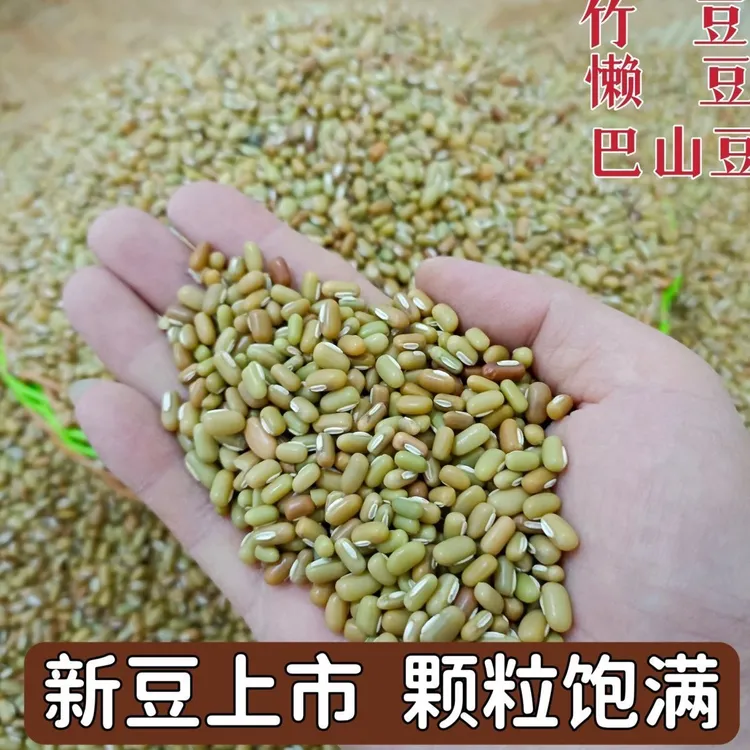 竹豆爬山豆农家米豆饭豆新豆巴山豆贵州懒豆小豆批发新鲜懒豆眉豆