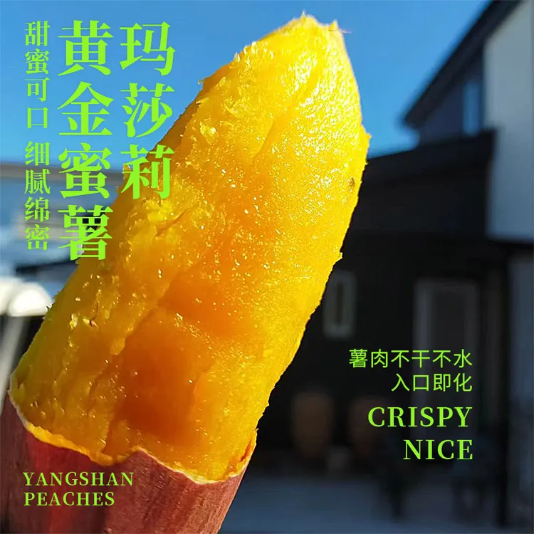 （新鲜果）正宗玛莎莉榴莲蜜薯烤地瓜黄金薯糖心红薯番薯3-10斤装
