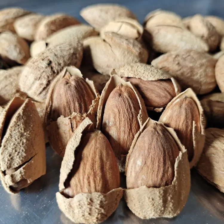 新疆干炒巴旦木带壳原味