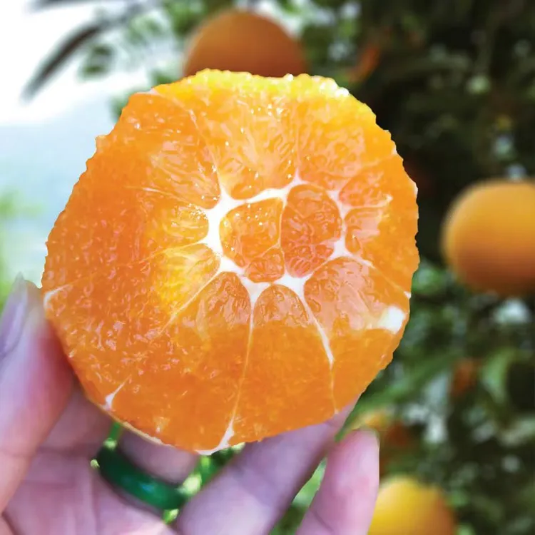 【精品】纽荷尔脐橙当季新鲜橙子坏果包赔带箱9.5-10斤装