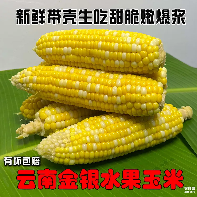整箱5.5斤6到9根云南水果玉米金银双色每根香甜脆爆汁