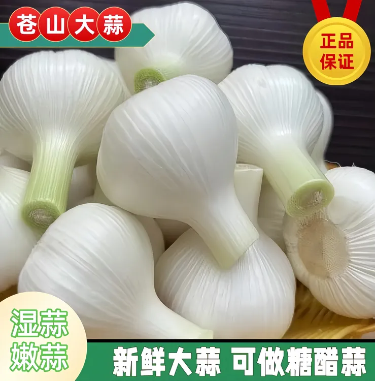 新鲜白皮大蒜苍山大蒜山东湿蒜2025年嫩蒜腌制糖醋蒜1斤3斤5斤蒜