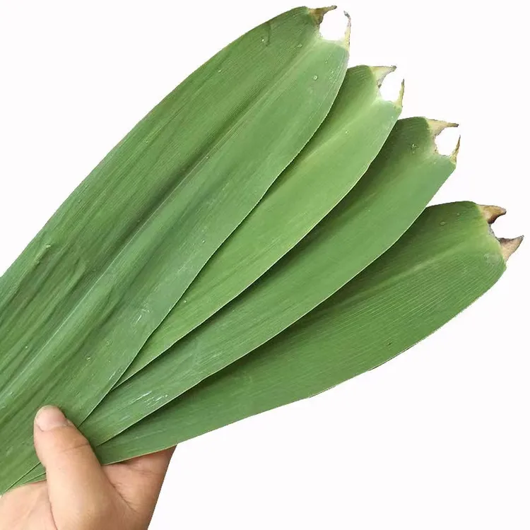 芦苇粽安徽无为产长江边芦苇天然粽子叶包邮100片1斤农产品现摘