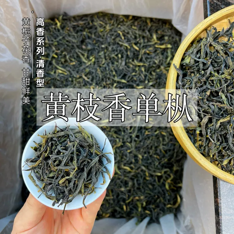 原产正宗黄枝香浓香单枞清香甘甜好茶精美茶叶浓郁潮州单丛凤凰茶