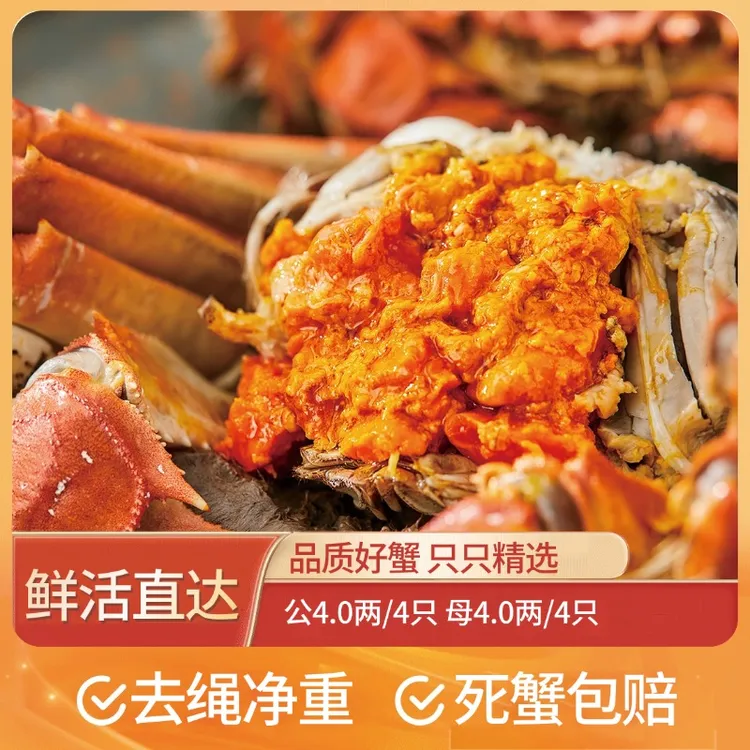 【湖中居】精品大闸蟹公4.0两*4只 母4.0两*4只 共8只礼盒装