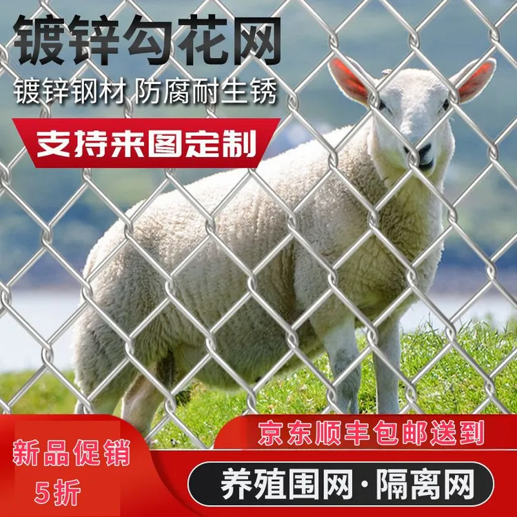 热镀锌铁丝网围栏网养鸡狗牛羊养殖网勾花网钢丝网户外防锈防护网