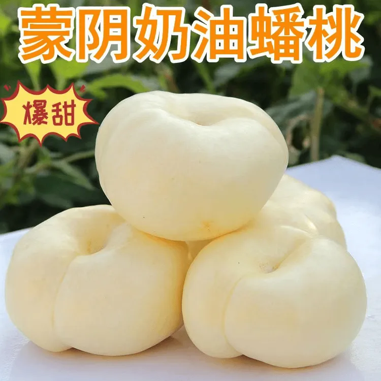 【粉丝专属】山东蒙阴奶油白蟠桃脆甜多汁孕妇现摘发蒙阴奶油蟠桃